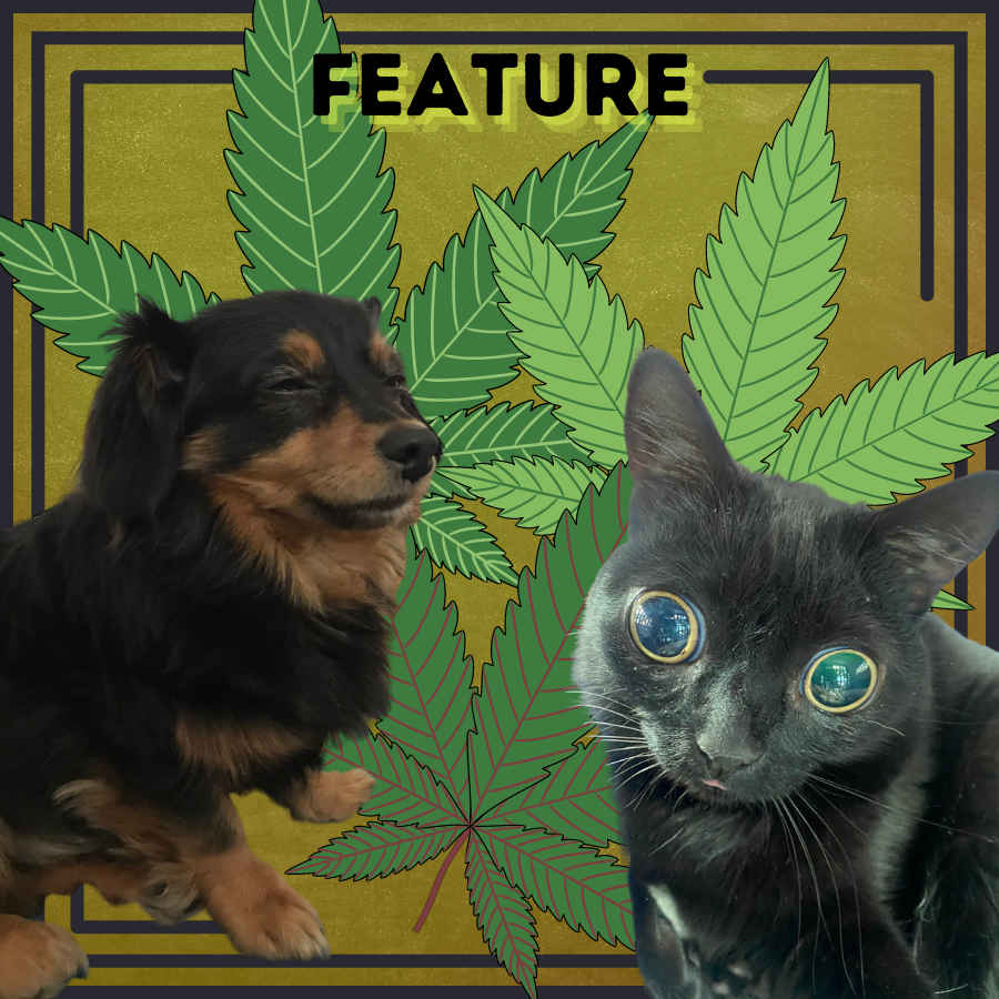 stoned animals for 4/20