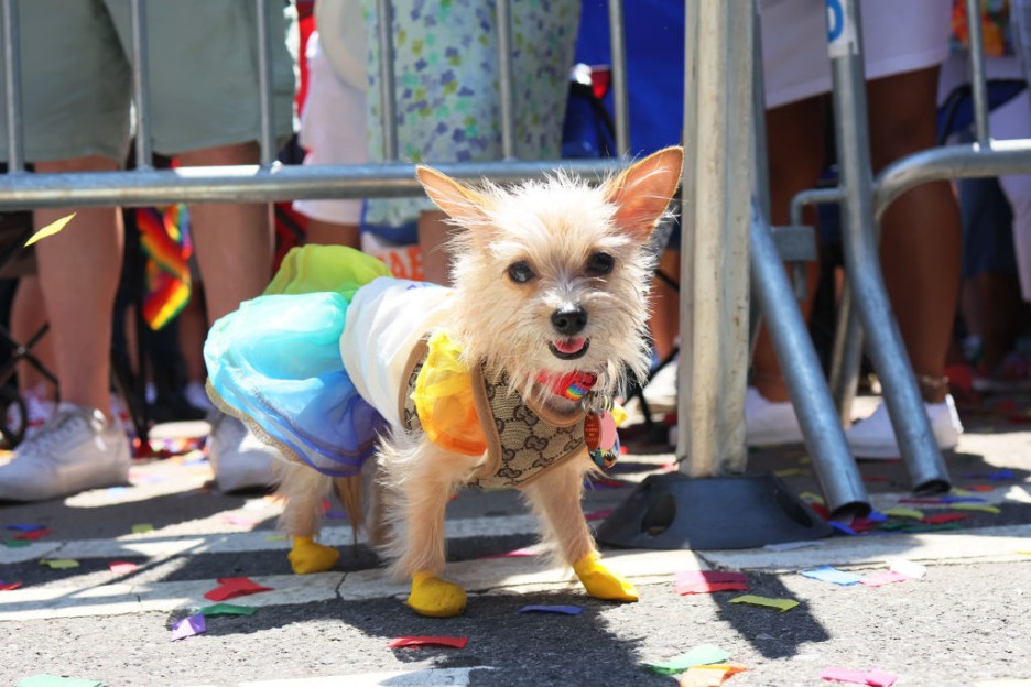 NYC Pride 2022