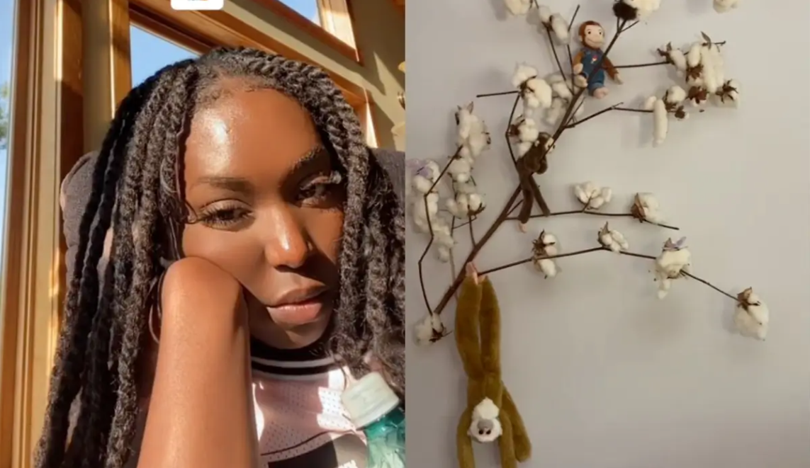 Airbnb listing deleted after black woman finds hanging monkeys and cotton used as decoration