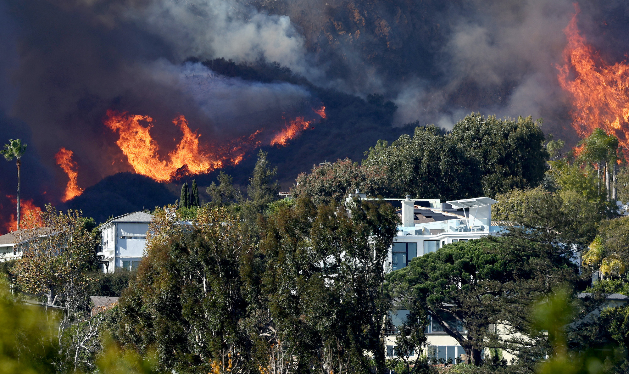 Palisades Fire