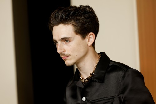 Timothee Chalamet