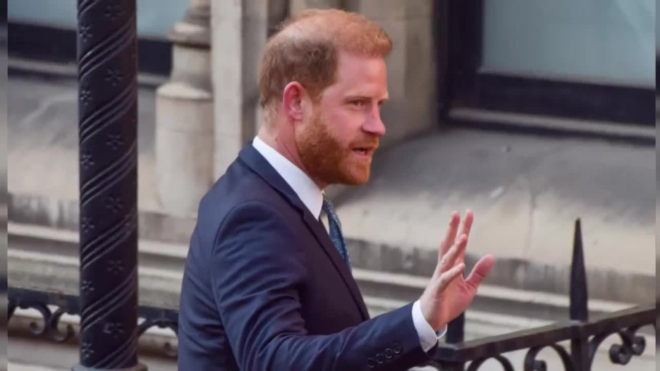 Prince Harry 'singled out for inferior treatment' over security arrangements
