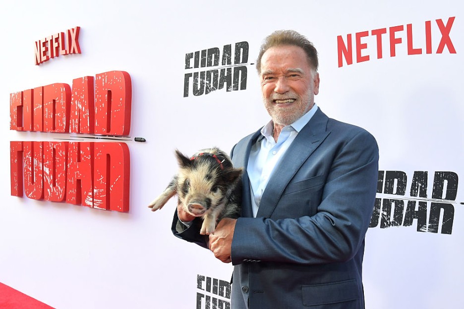 Arnold Schwarzenegger’s One Demand for Acting With Patrick and Son-in-Law