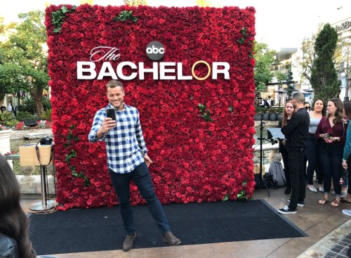 The Bachelor