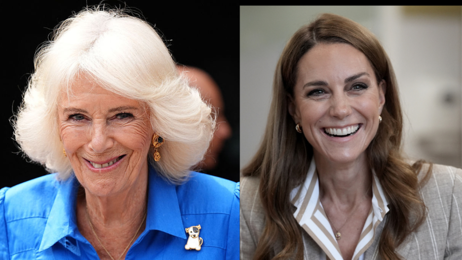 Camilla Just Brush Kate Middleton