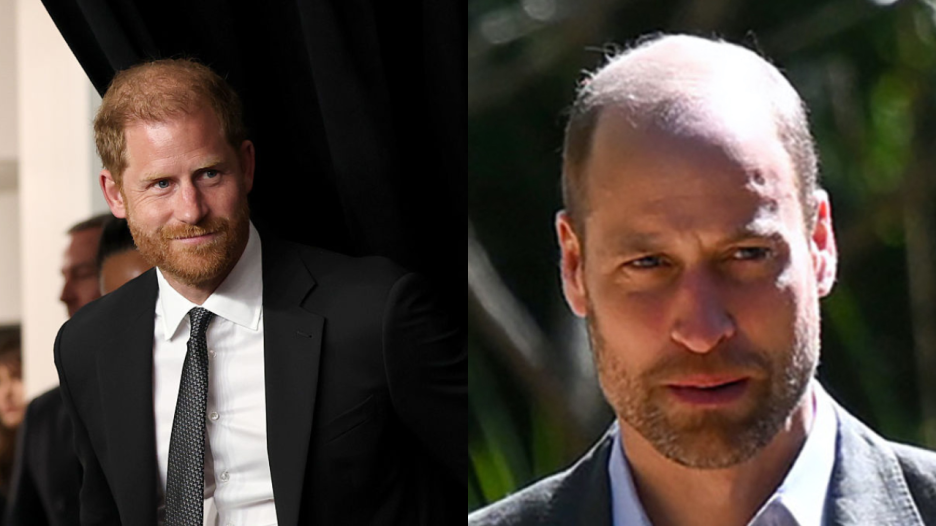 Prince Harry, Prince William