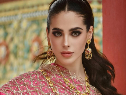 Scandal Miss Universe executive insults Miss Mexico calls security