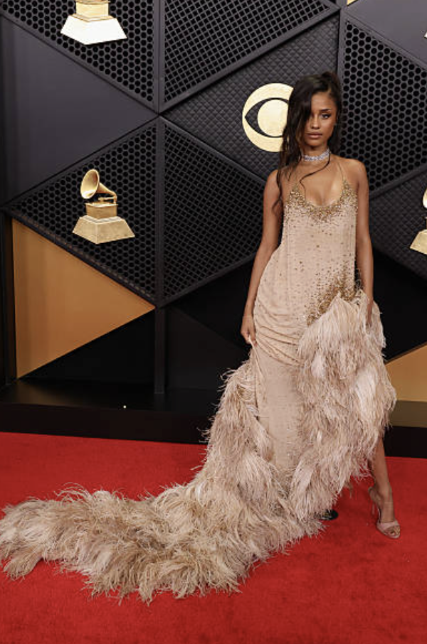 Grammys 2026 Red carpet looks best and worst