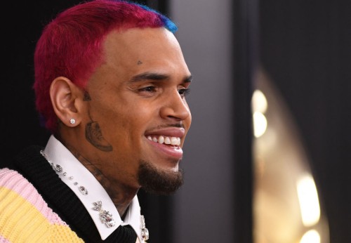 Chris Brown Grabs Fan’s Neck in Intense Meet and Greet